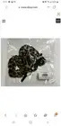 NOIR Ombre Leopard Scrunchies NEW 3 Pack
