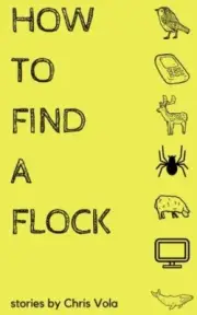 How to Find a Flock.by Vola New 9780998087252 Fast Free Shipping<|
