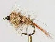 10 Hare and Copper nymph