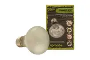 Komodo Basking Spot Bulb ES 50W