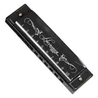 10 Hole 20 Tone Lightweight Harmonica C Key Mouth Organ Harmonica (Black) Hot