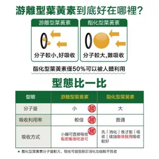 【Lovita愛維他】美國專利FloraGLO游離型金盞花葉黃素20mg全素膠囊(30顆)