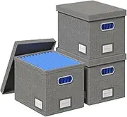 GRSQYS File Organizer Box File Boxes for Hanging Files with Lid Set of 3 Decorative Hanging Folders Letter Size Organizer with One-Piece Plastic Frame Slides (13.2 * 10.1 * 10.1in(3Pack), Grey)