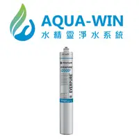 在飛比找蝦皮購物優惠-[ 水精靈淨水 ] EVERPURE 美國原裝進口濾心 I2