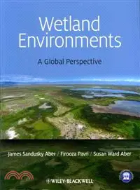 在飛比找三民網路書店優惠-Wetland Environments - A Globa