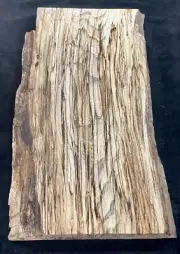Live Edge Black Line Spalted Hackberry Lumber 25”x12”x15/16” Craft Wood Project