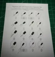 Realistic HTX-100 Electrolytic Capacitor rE-Cap Kit - 54 Capacitors -Premium Kit
