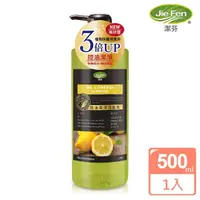 在飛比找momo購物網優惠-【Jie Fen 潔芬】控油潔淨洗髮精(500ml)