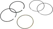 [Briggs & Stratton] OEM 594098 replacement ring set