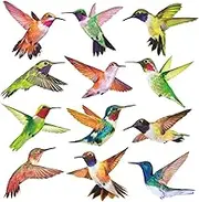 Anti-Collision Window Clings Bird Alert Collision Decals to Prevent Bird Strikes on Window Glass - Set of 12 Hummingbirds Transparent Border