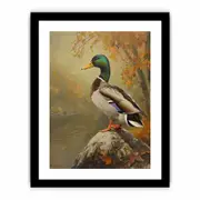 Duck Framed print Art Poster