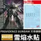 【鋼普拉】雪焰水貼 螢光版 BANDAI 鋼彈SEED MG 1/100 PROVIDENCE GUNDAM 天帝鋼彈