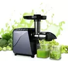 Electric Slow Juicer, Celery Cold Press Juicer Machines for Carrot Beets Fruits