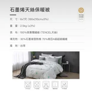 【DESMOND 岱思夢】台灣製造 石墨烯機能保暖被 多款任選 贈居家掛式三層收納袋1入