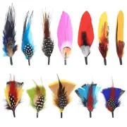 Hat Feathers, 12 Pcs Natural Feathers, Mixed Assorted Cowboy Hats Feathers,Craft
