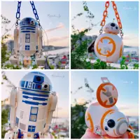 在飛比找蝦皮購物優惠-日本東京迪士尼園區限定 STAR WARS星際大戰 BB8 