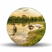 Geese Illustration Glass Table Spinner 17.75"