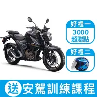 在飛比找Yahoo奇摩購物中心優惠-SUZUKI 台鈴機車 GIXXER ER 250街車版(油