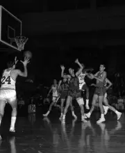 Al Bianchi Of The Syracuse Nationals Receives 1960S Old Basketball Photo