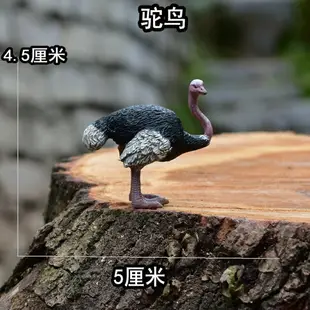 實心仿真動物模型玩具迷你野生動物微景觀青蛙狼獅猴子熊馴鹿麂子