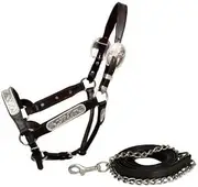 Showman Silver Show Halter & Lead With Beaded Edge