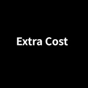Price Difference Additional Shipping and Logistics Fees UPS/Fedex/DPD
