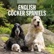Red Robin Publishing, English Cocker Spaniels 2025 Wall Calendar