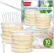 Amazing Bacteria Science Kit - Prepoured Agar Plates Kit - Top Science Fair Project Kit - Superior Bacteria Growth - Award Winning Experiment Ebook - Have Fun While Learning Microbiology Now!