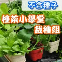 在飛比找蝦皮購物優惠-【全館590免運】種菜小學堂-栽種組合(小花槽+底盤+肥+土