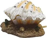 Generic Aquarium Shell Clam Pearl Decoration Fish Tank Bubbling Stone Air Pump Decor