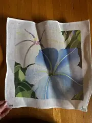 Vtg Morning Glory Hand Painted needlepoint Canvas 18x18 By Dede