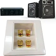 Audio Wall Plate | Speaker Jack Plate | Home Audio Accessories Wall Outlet Banana Binding Posts, Home Theater Wall Plate, Audio Wall Plates for Speaker Wire Pochy