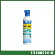 API Algaefix For Tanks 237ml
