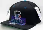 Vintage Charlotte Hornets Starter Snapback Reflection Logo