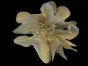 Millinery Flower 3" Snowy White for Hat Wedding or Hair KZ24