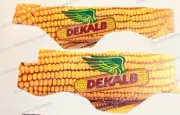 Dekalb Decal for 1/64 John Deere X9 1100 combine *DECAL ONLY*
