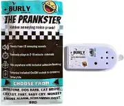 Hidden Noise Maker Gag Prank - 10 Different Sounds - Ringtone, Dog, Cat, Cricket