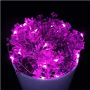 Purple 5M Copper Wire 50 LEDs String Fairy Light Xmas Tree Bedroom Decor IP65