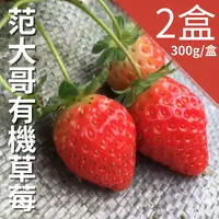 在飛比找台灣好農優惠-范大哥有機草莓 買一送一 1+1盒 (2盒裝)