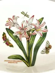 Baking dish bowl UNIQUE Botanic flowers 11.5” AMARYLLIS BELLADONNA Lily moth bug