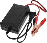 Acid Battery Charger 12V Multi Functional Charger with Short Circuit Protection for Acid and Lithium Batteries