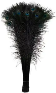 Feather Store - 10 Real Dyed Black Peacock Eye Feathers 30-35" - Perfect for Cra