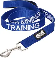 TRAINING Blue Color Coded 2 4 6 Foot Or Coupler Professional Dog Leash (Do Not Disturb) PREVENTS Accidents By Warning Others of Your Dog in Advance (Standard leash)