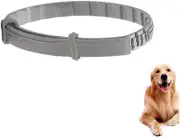 Flea Collar for Dogs 8 Months Natural Flea and Tick Collar Dog Protection – A...