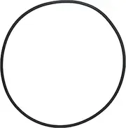 AppliaFit Pool Filter Tank O-Ring Compatible with Pentair 27001-0061S O-484 for Select Spa-Rite Pool and Spa Filter Models (1 Pack)