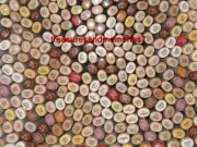 COPIC SKETCH MARKERS - SKIN TONES - NEUTRALS SET OF 9 MARKERS