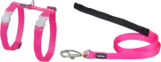 Cat Collar | Harness & Lead Combo [Hot Pink] \ by Red Dingo