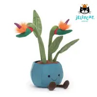 在飛比找博客來優惠-英國 JELLYCAT 38cm 天堂鳥盆栽 Amuseab