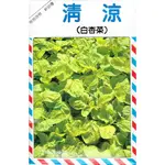 愛上種子 白杏菜(清涼．夏天開胃菜) 【蔬果種子】興農牌中包裝 每包約15公克