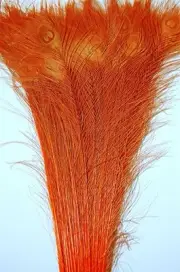 50 Pcs BLEACHED PEACOCK TAILS Feathers 35-40" OFFICIAL ORANGE; Costume/Crafts